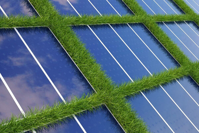Environmental Benefits of Solar Energy